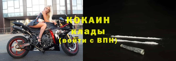 тгк Алексин