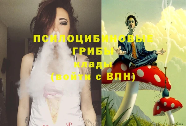 тгк Алексин