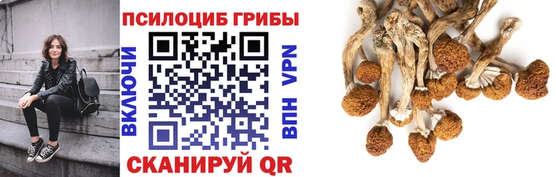 Галлюциногенные грибы GOLDEN TEACHER Раменское