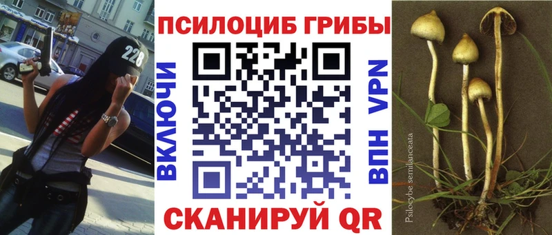 Псилоцибиновые грибы Psilocybine cubensis mega ONION Раменское