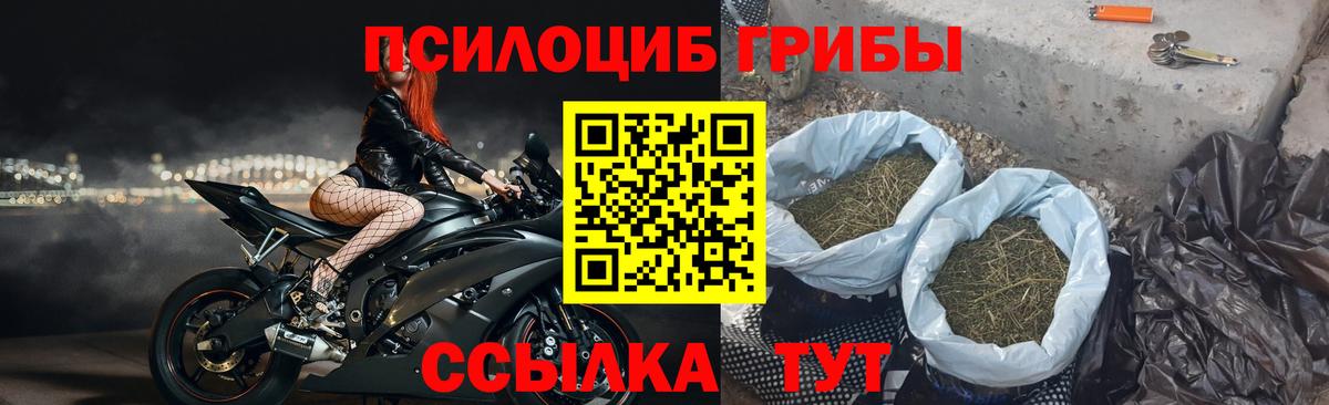 Галлюциногенные грибы Magic Shrooms  Вход с VPN  Раменское 